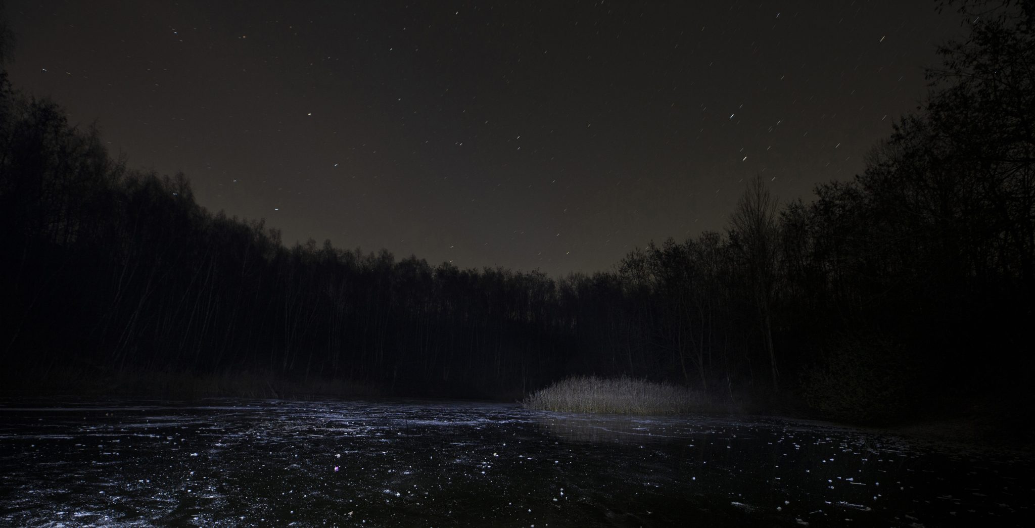 Nederland, Limburg, 2022/2023.
Nachtbossen Zuid en Midden-Limburg. Project Duister Licht
Foto: Annemiek Mommers